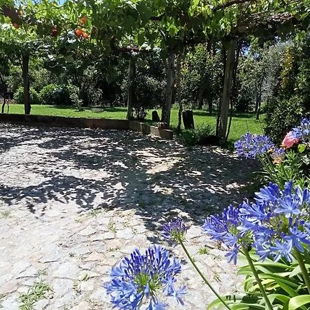 Casa Das Guimaraes Ponte de Lima Zewnętrze zdjęcie